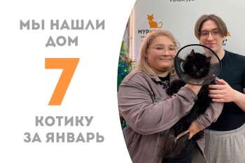 Медовые глазки Жучок обрел семью всего за два месяца!