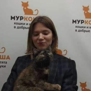 Моника
