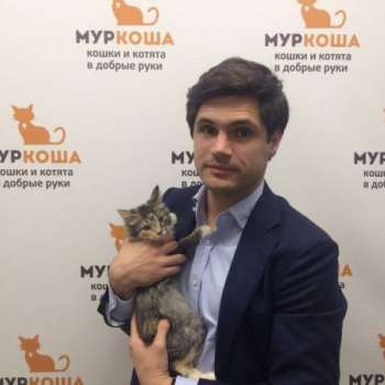 Ложка
