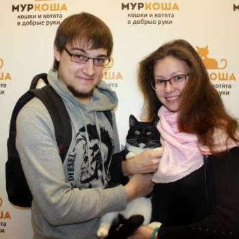 Гамильтон