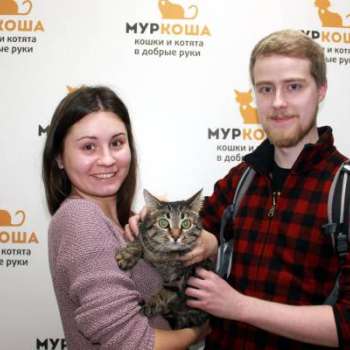 Дарина