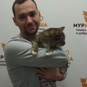 Коржик