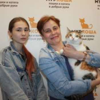 Веснушка