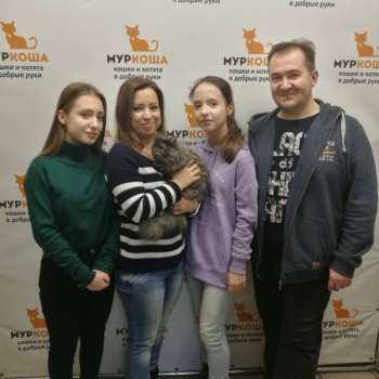 Холли