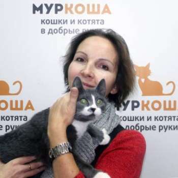 Велена