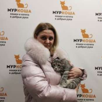 Симкин