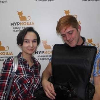 Бакс