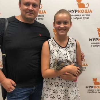 Тильда