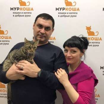 Тигриус