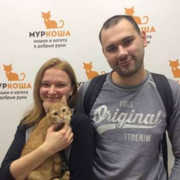 Тути-Фрути