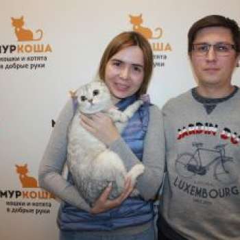 Густав