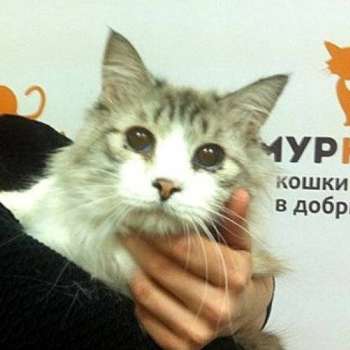 Томас