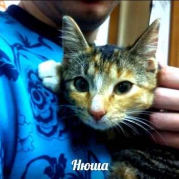 Нюша