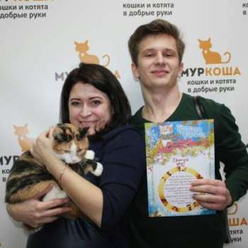 Тортилла