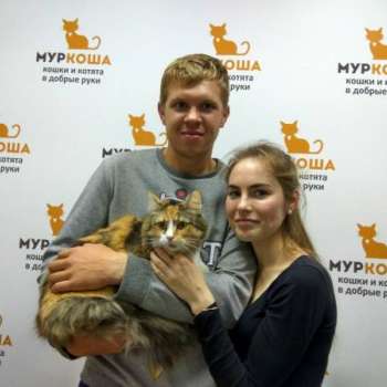 Епифания