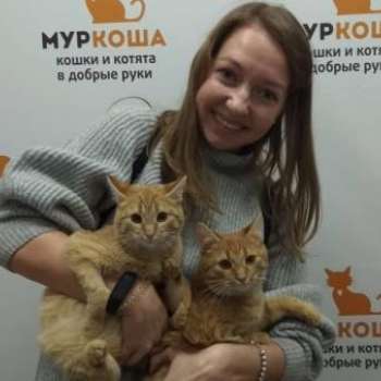 Булочка