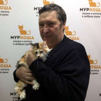 Фруттис