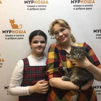 Камила