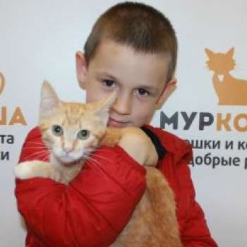 Тошечка