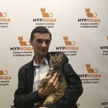 Торпеда