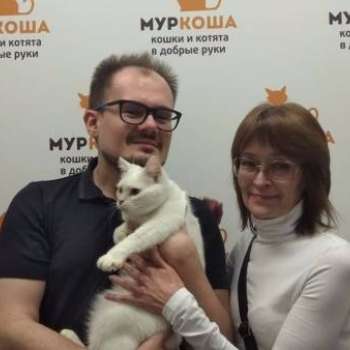 Агнета