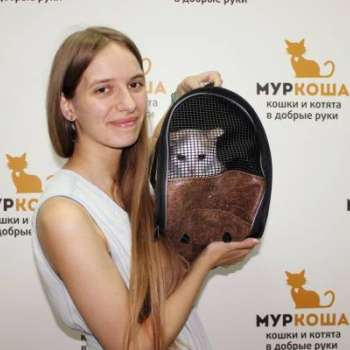 Поля