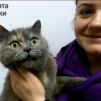 Бася