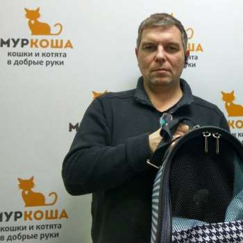 Полька