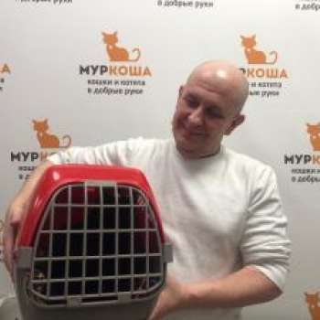 Галочка