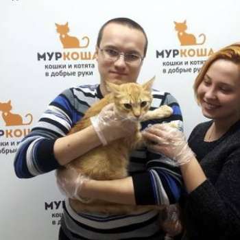 Джулиано