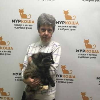 Бэллатриса
