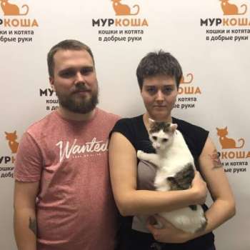 Стейси
