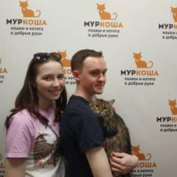 Мишура
