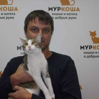 Хилари