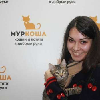 Жаккард