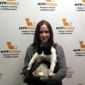 Феликс