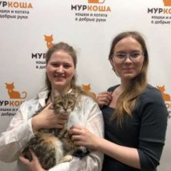 Чичита