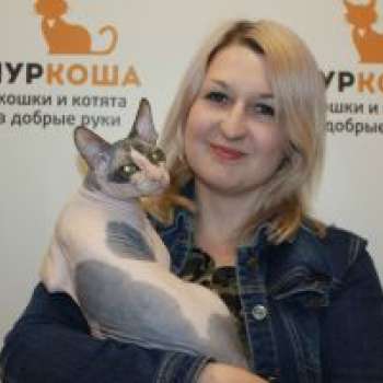 Степаша