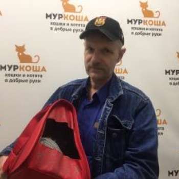 Василек