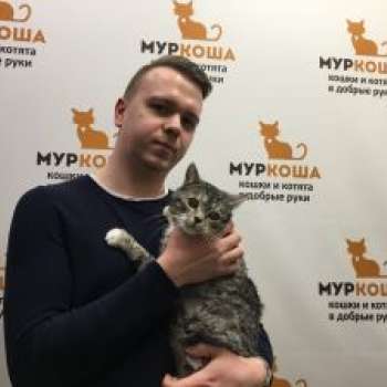 Зонтик