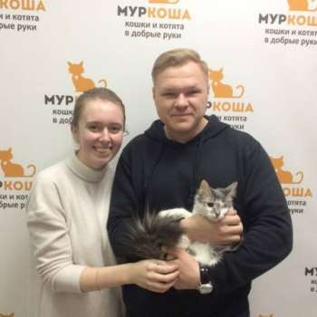 Кристл