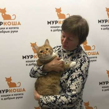 Азур
