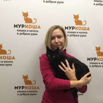 Полярис