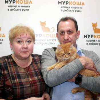 Пушистик