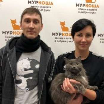Лолита