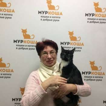 Панкейк