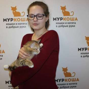 Рыжулька