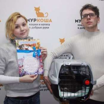 Яромира