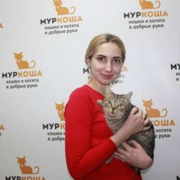 Тефтелька