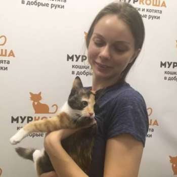 Лантана